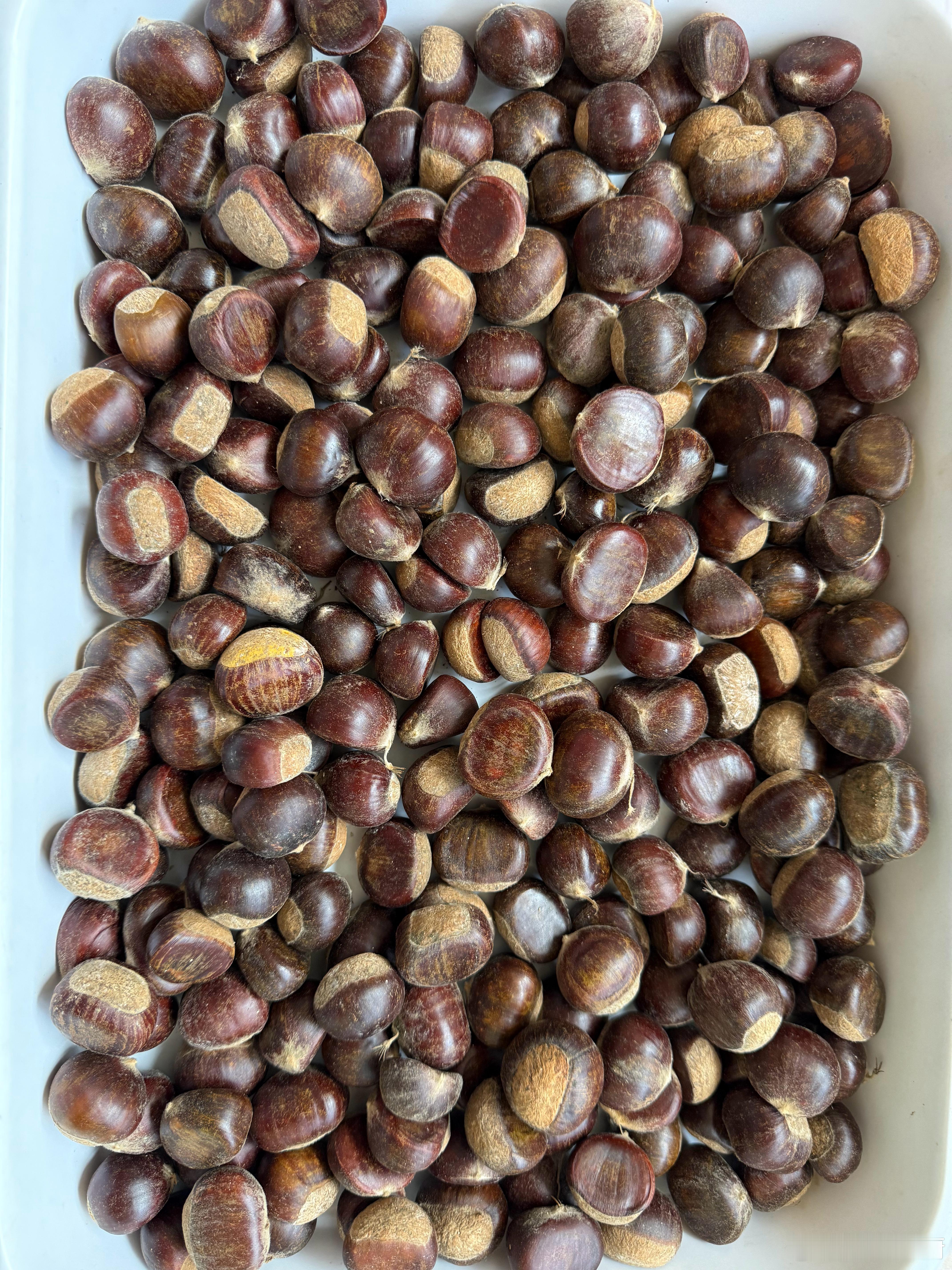 好大的太阳雨！我准备把这5斤板栗🌰都剥了冰箱冷冻起来 ​​​