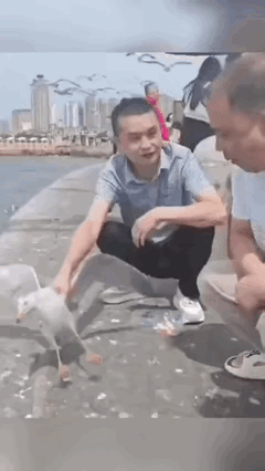 手欠欠滴，报应来了吧作恶有报应 缺德会遭报应 恶人必遭报应 恶人必受报应 恶有报