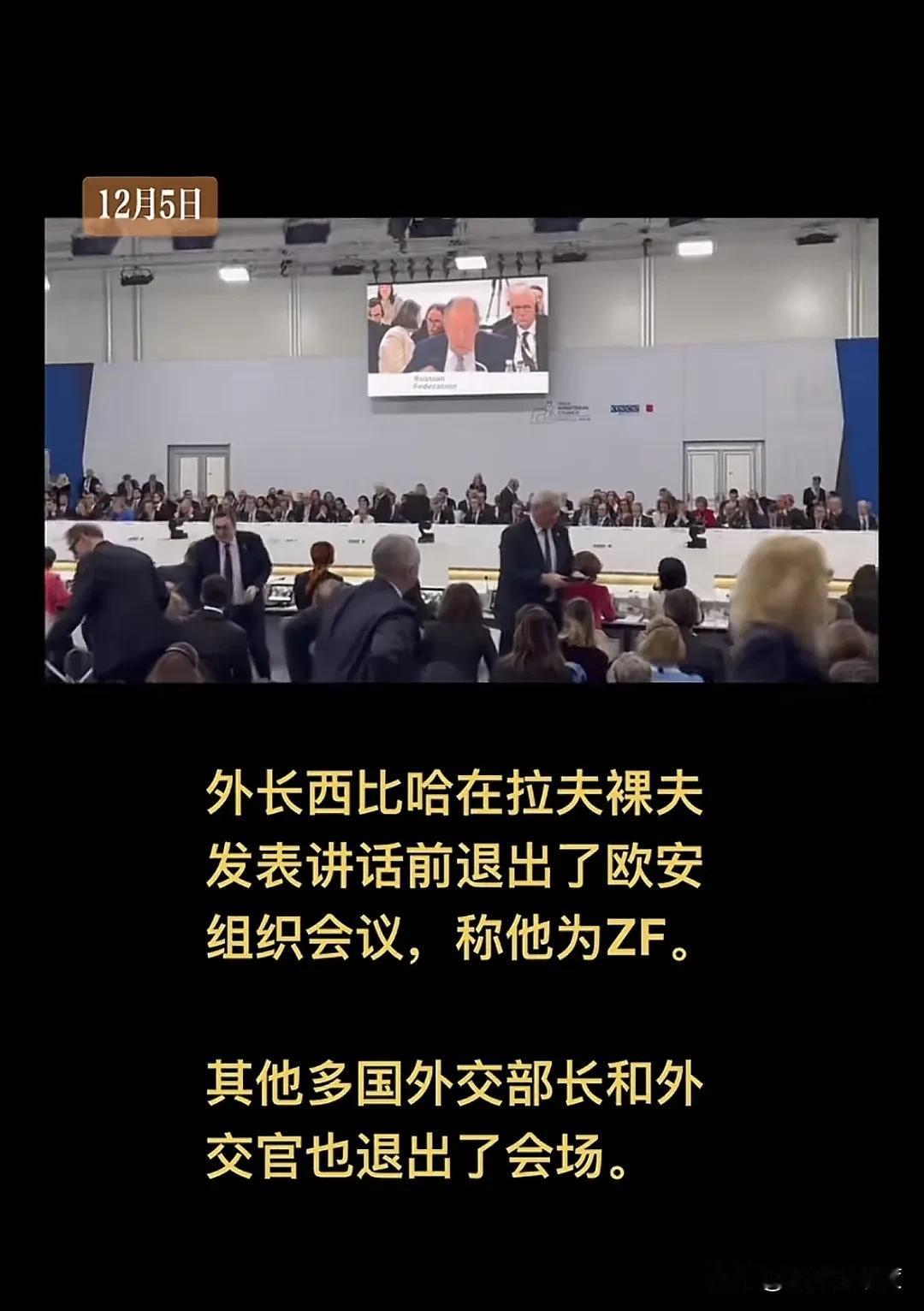 当地时间12月5日，欧洲安全组织会议在马耳他举行，主要讨论的就是欧洲的安全形势。