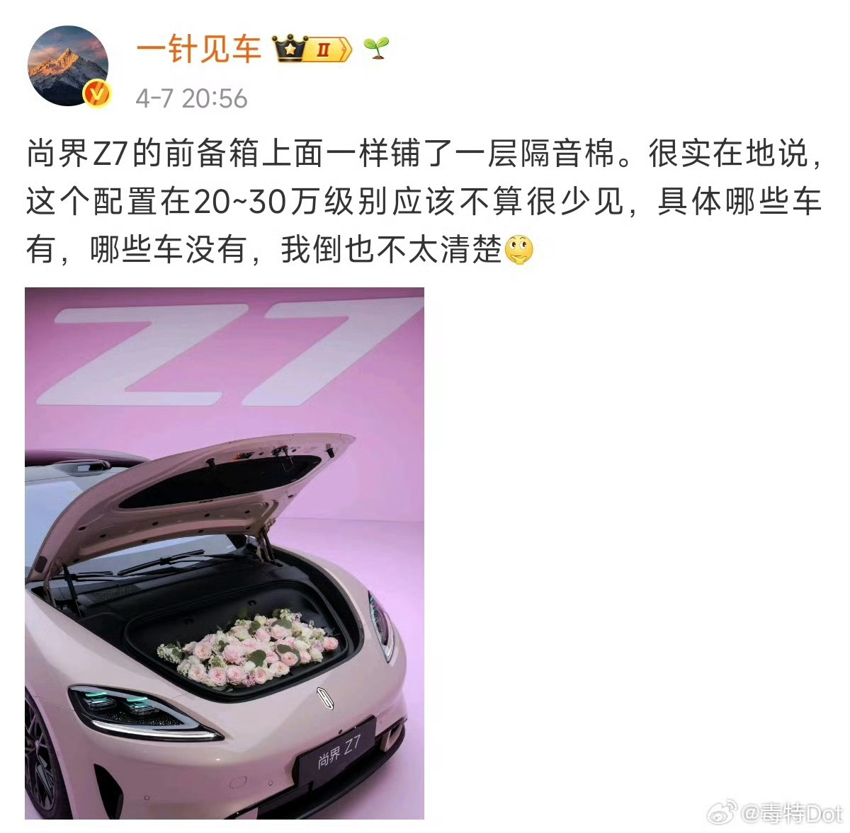 这两位博主观察很细致，不过汽车nvh是一个整体性工程，不是多塞两根胶条隔音棉就能