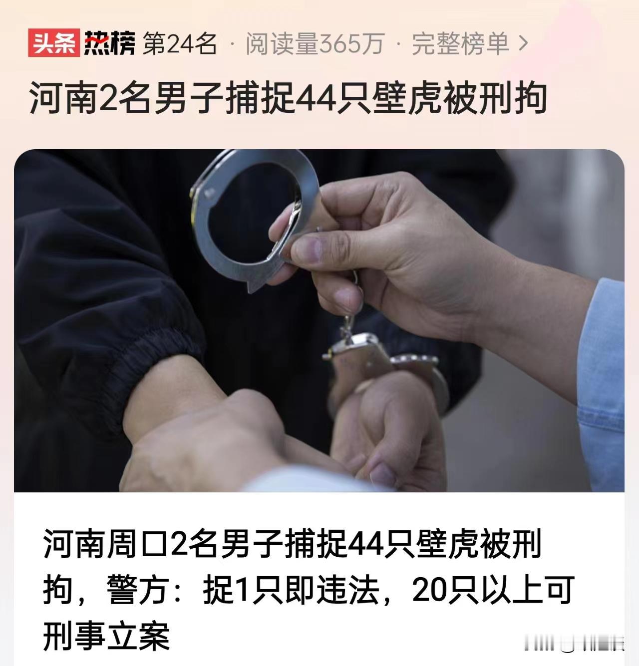 逮壁虎被采取刑事措施，评论区却炸了

不打听不知道，一打听还真吓一跳！这个壁虎捉