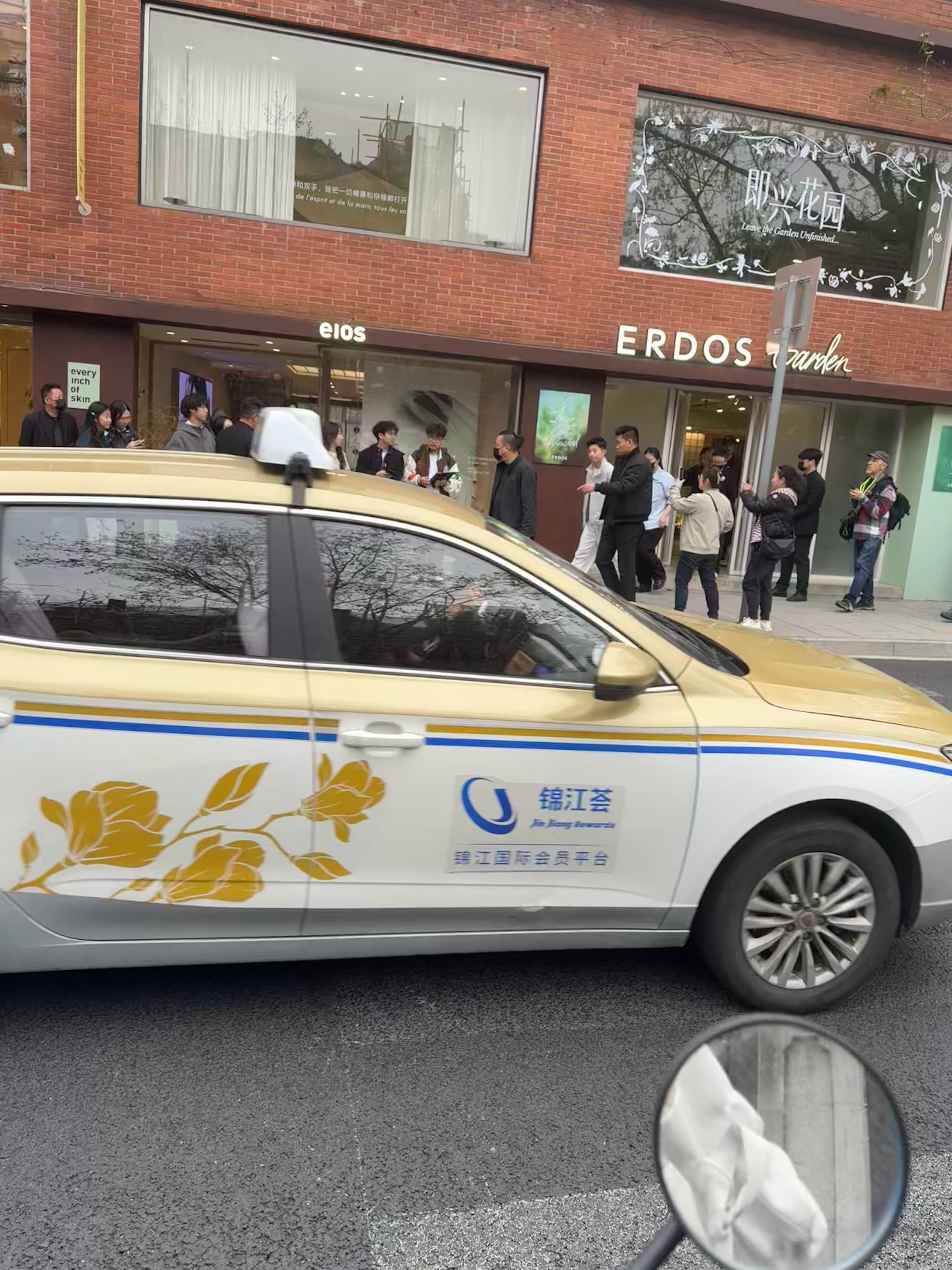 特别帅的猫和拙劣的烂果子我 