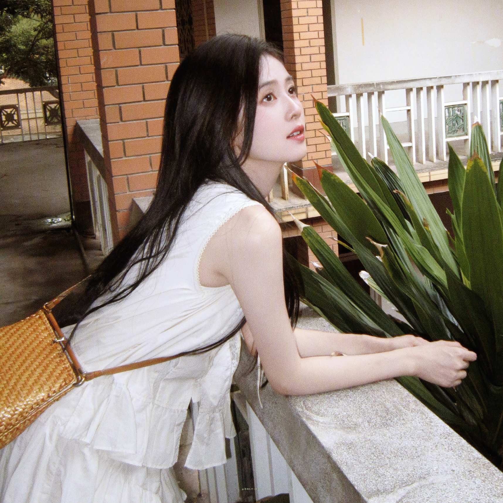-🍃 ​​​