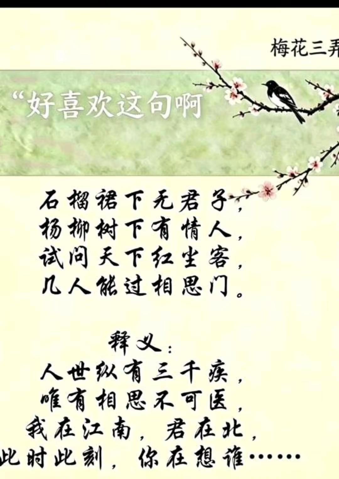 世间万般疾苦，唯有相思难医。梅花三弄 古风情感 相思文案 红尘感悟