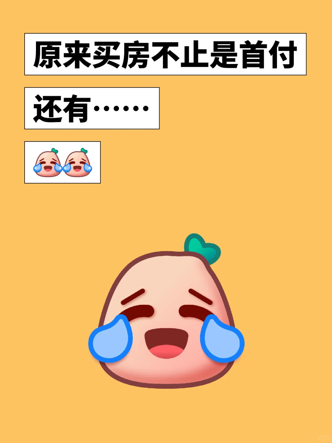 请看清楚，买房不止是首付