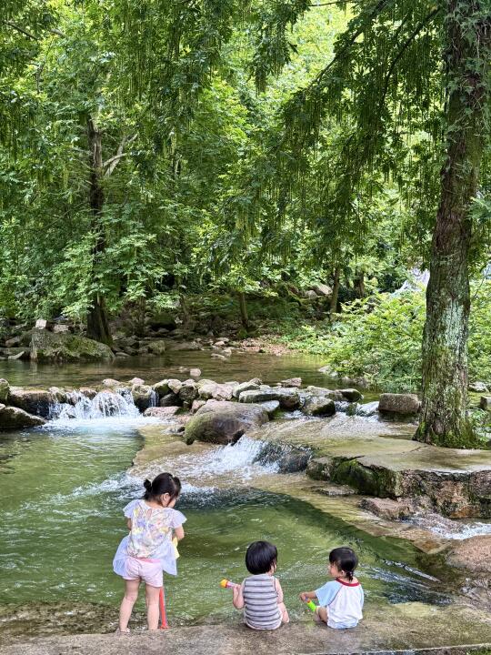 在温州|我怎么才发现这个亲子避暑、溯溪胜地