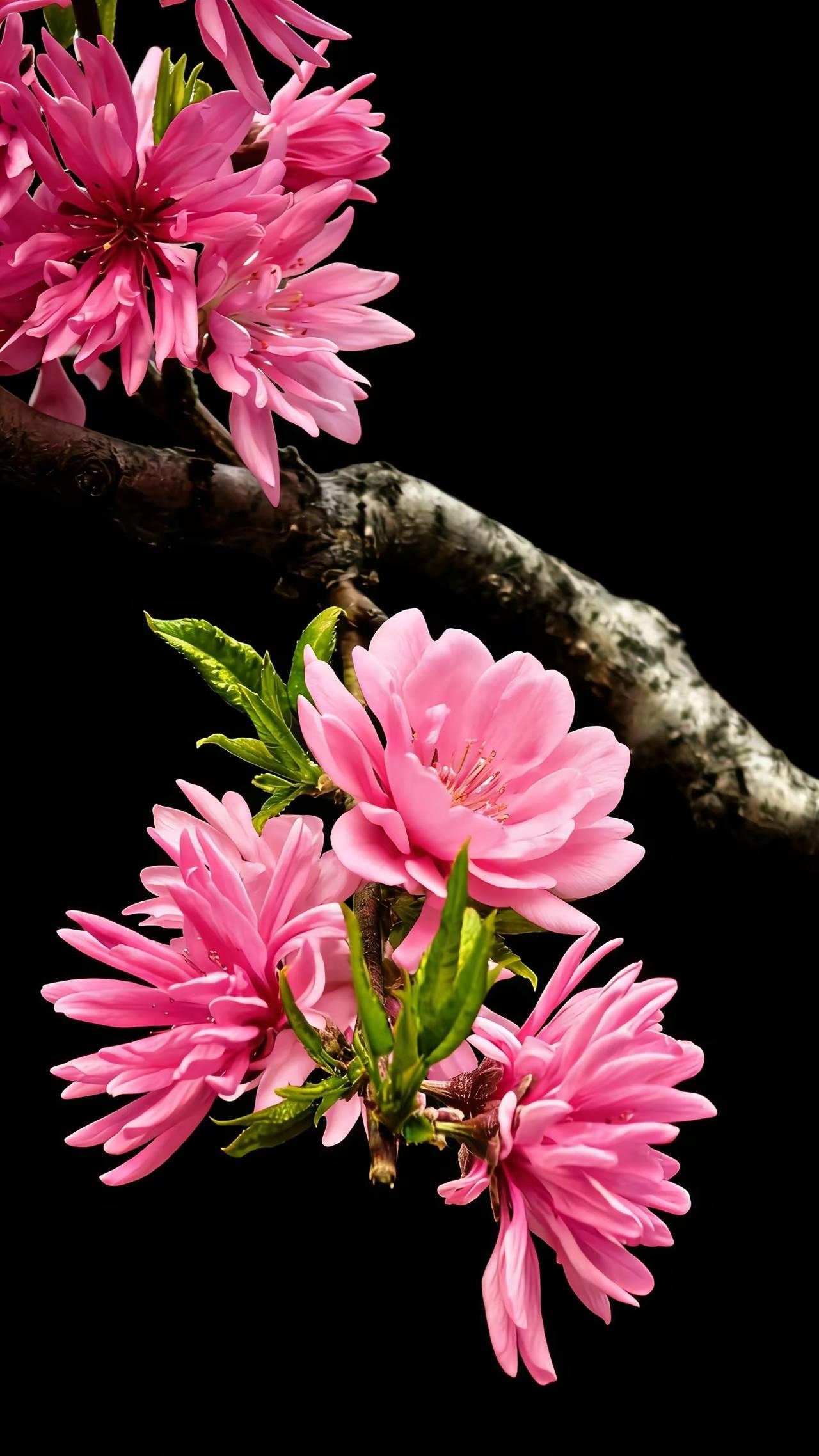 长期做一件事，
不是咬牙硬扛，而是心有所向，把日常当手稿，把输出当回信。深耕的人