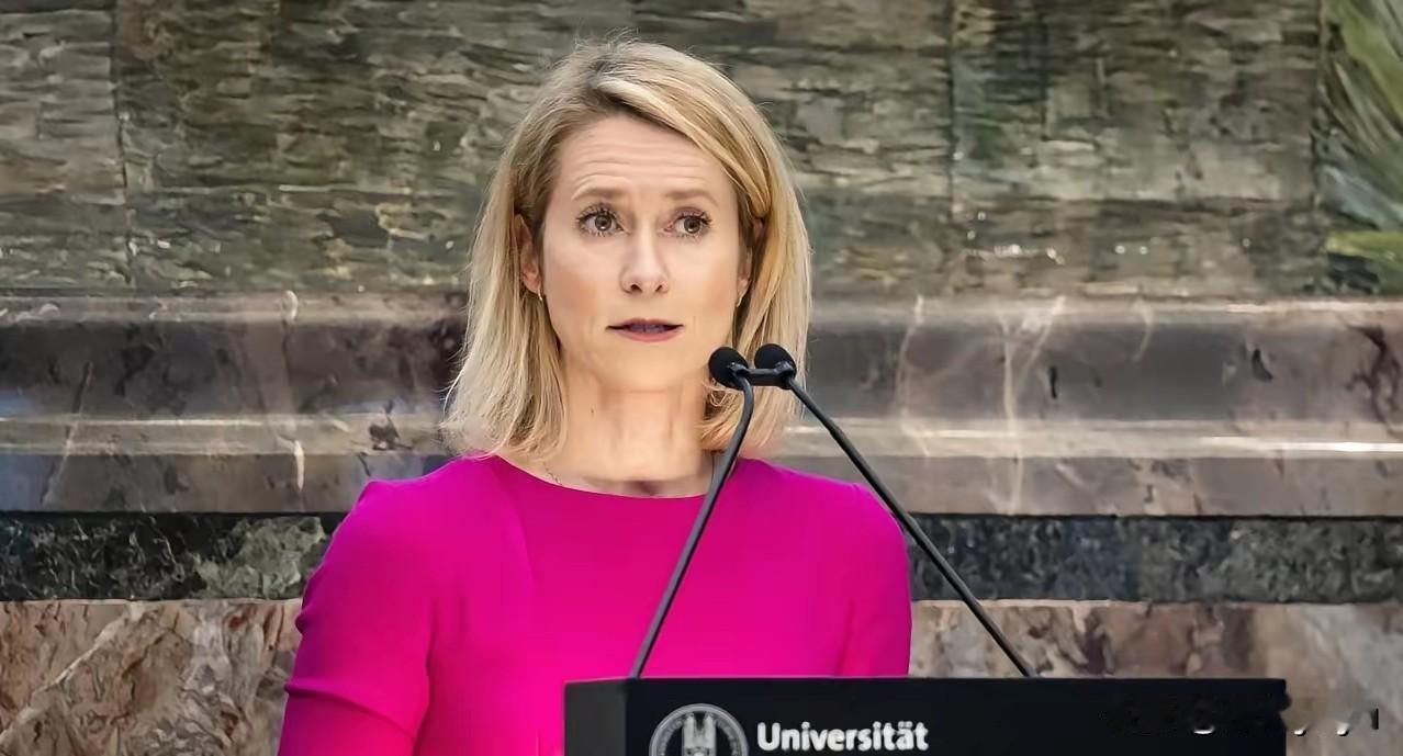 欧盟外长会吵翻了：西班牙提案遭德意反对，卡拉斯一句“孤立无援”暴露困境
4月22