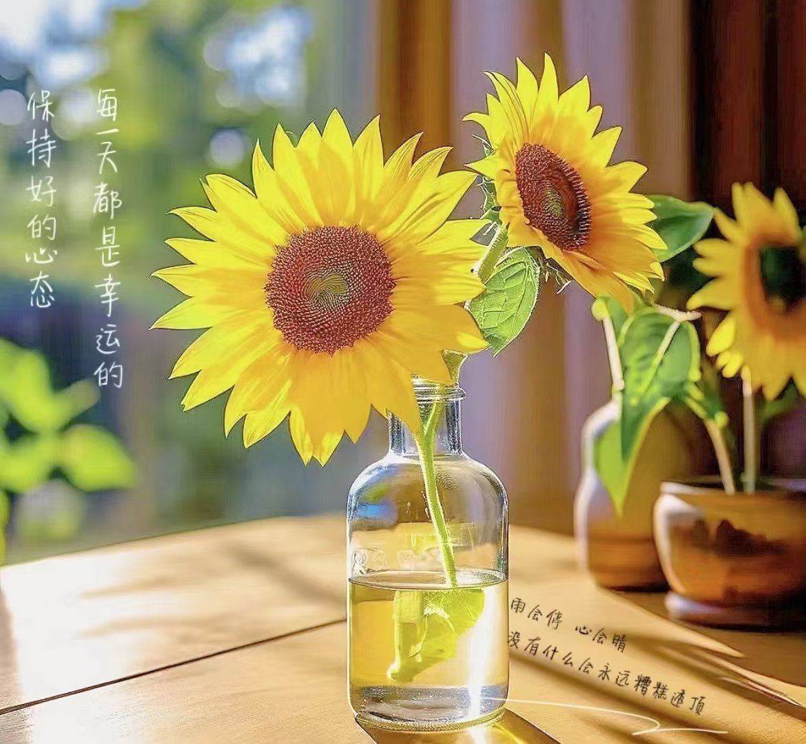 不给自己设限，人生才会有更多可能[太阳] ​​​