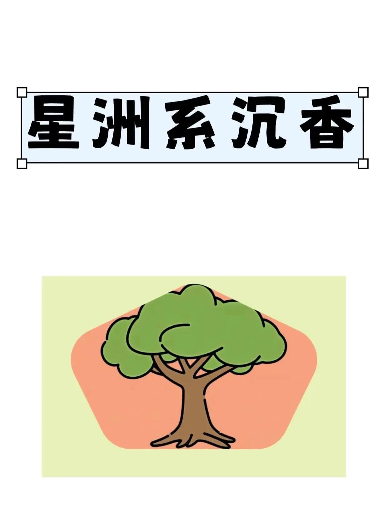 星洲系沉香。星洲系，是三大沉香体系中以鹰木树为核心树种、以东南亚群岛为主要产区的