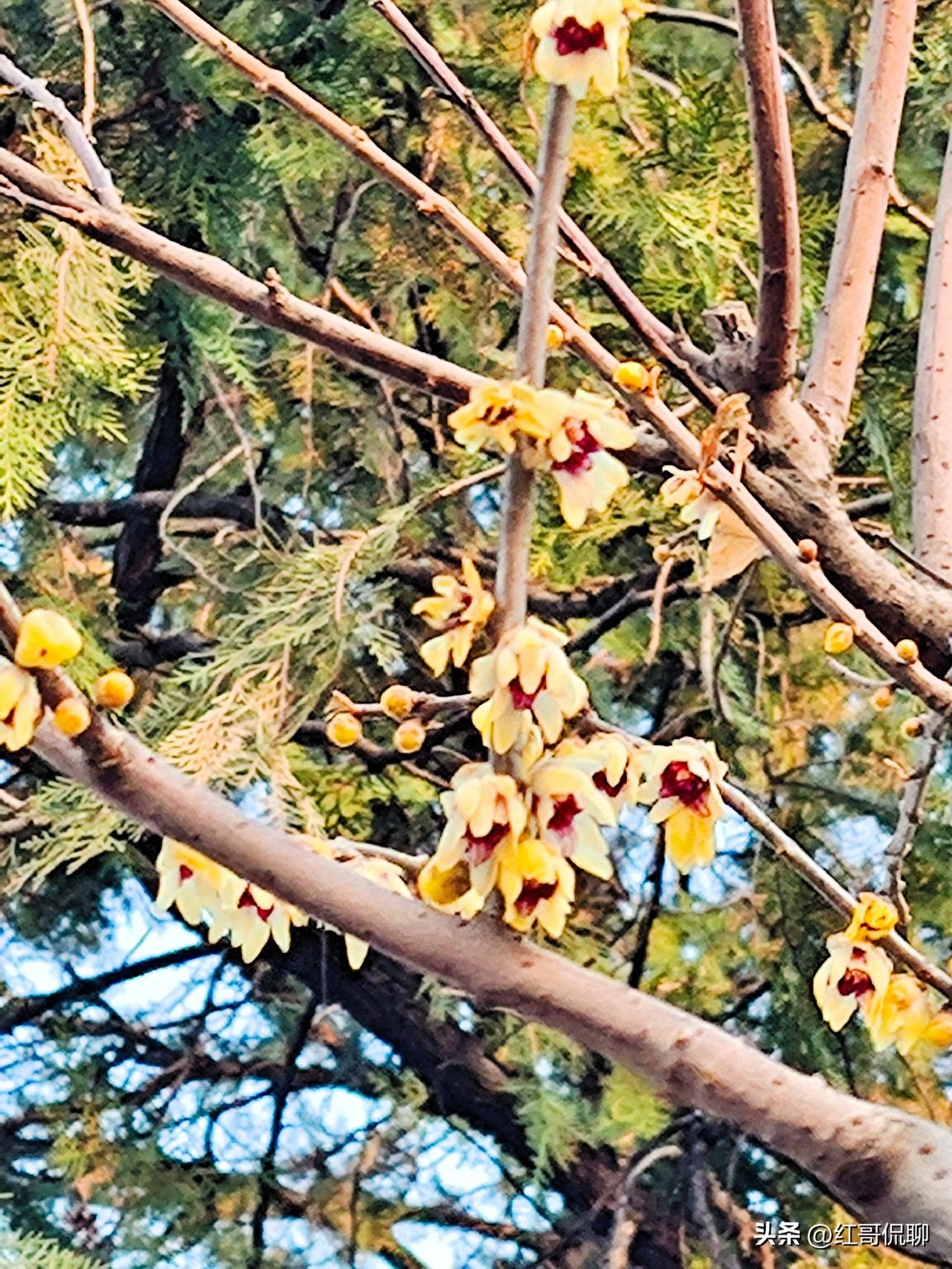 北京积分落户分数年年涨，核心是名额卡死、存量高分堆高、加分项普及、竞争内卷四件事