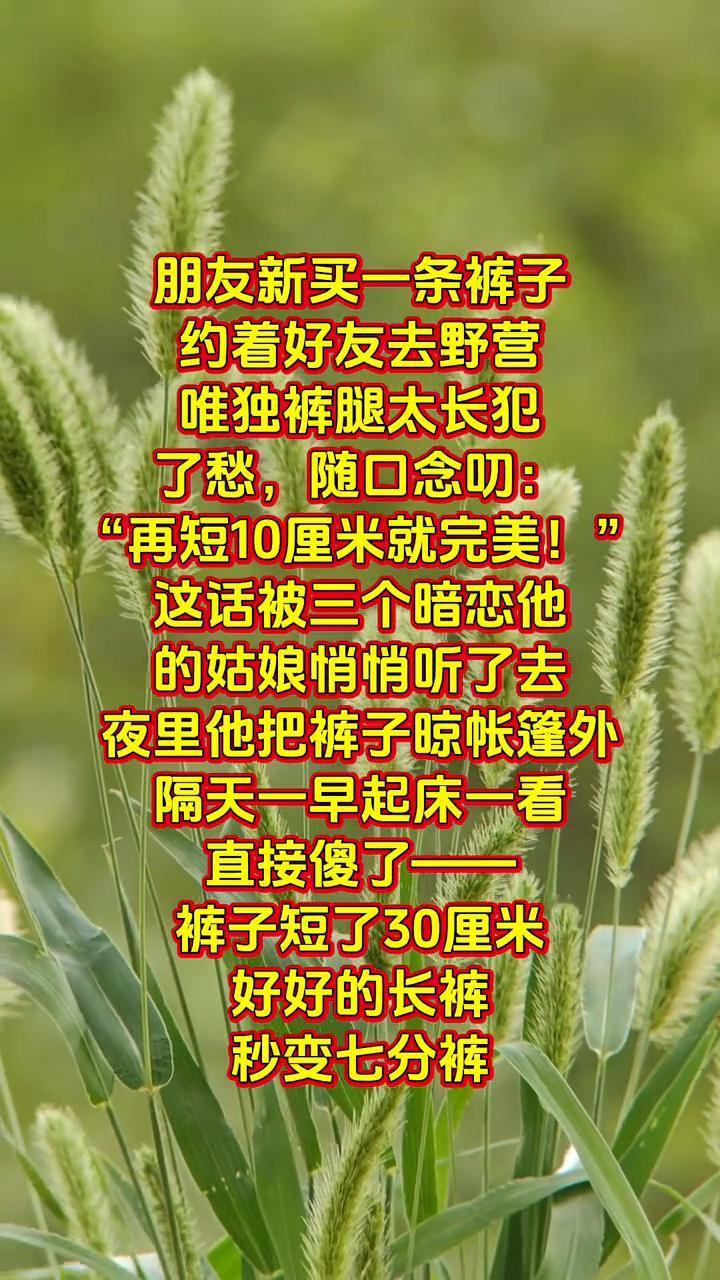 朋友新买一条裤子，约着好友去野营，唯独裤腿太长犯了愁，随口念叨：