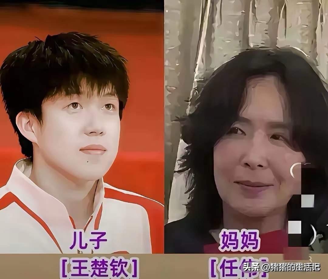 王楚钦妈妈，长得很漂亮。
张继科妈妈，长得很漂亮。
樊振东妈妈，长得很漂亮。
马