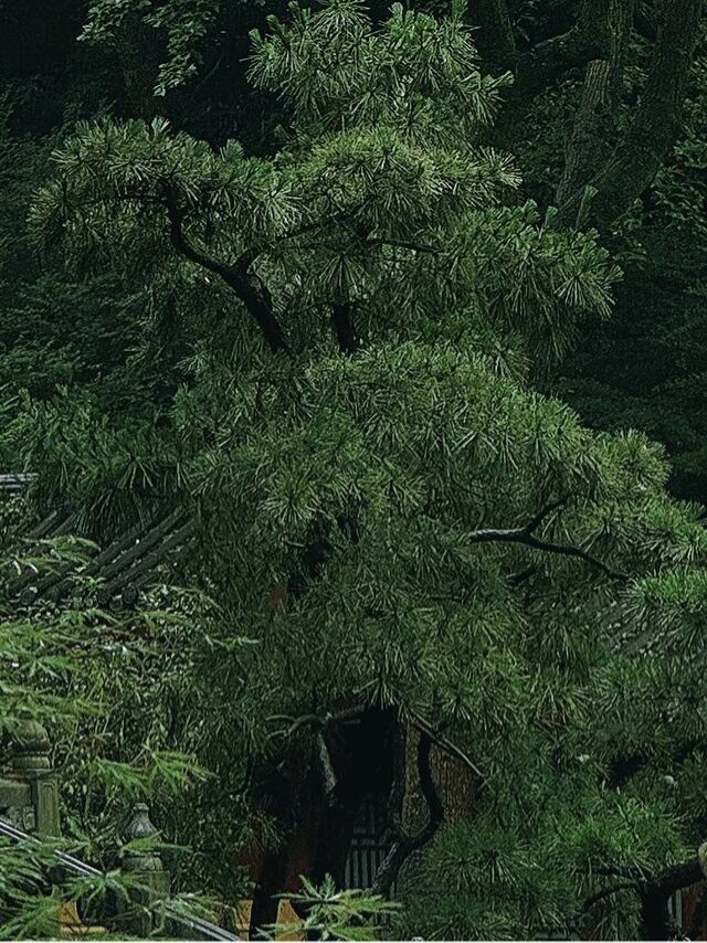 0900要有一颗善良的心、宽广的心、美好的心，感恩的心，这样才能去帮助有困难的人