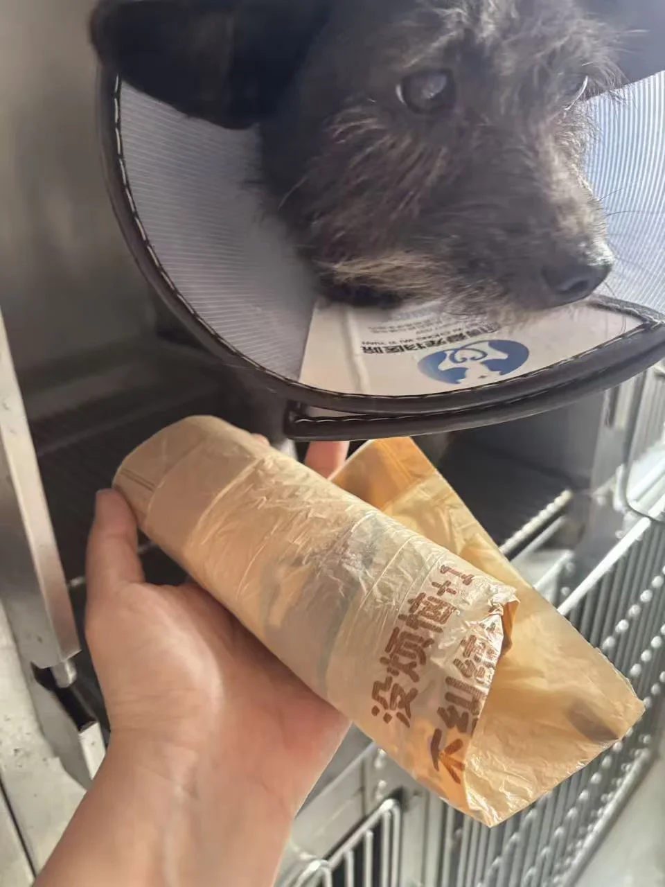 姨姨们，最近需不需要垃圾袋吖！