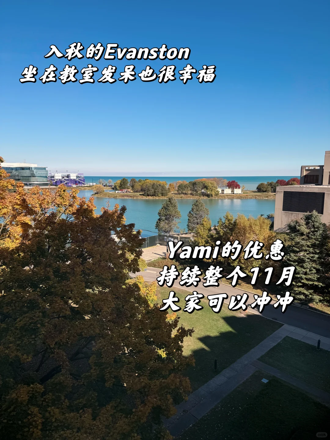 🇺🇸留学PloG.开启11🈷️的🛍️之好物推荐