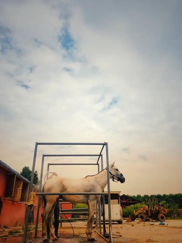 新的一年，“放自己一马”真的太有必要了。过去一年，我们总在逼自己，为了业绩拼命加