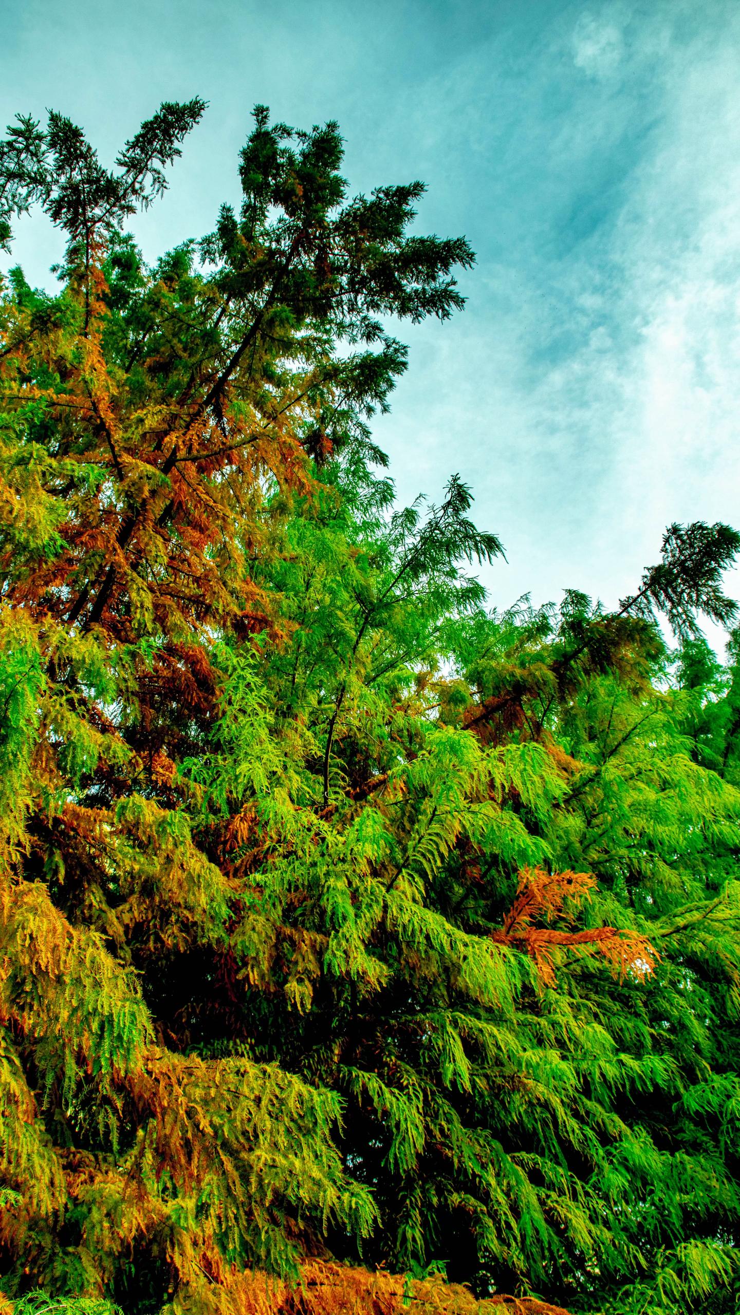 取景器里的世界很绚烂！