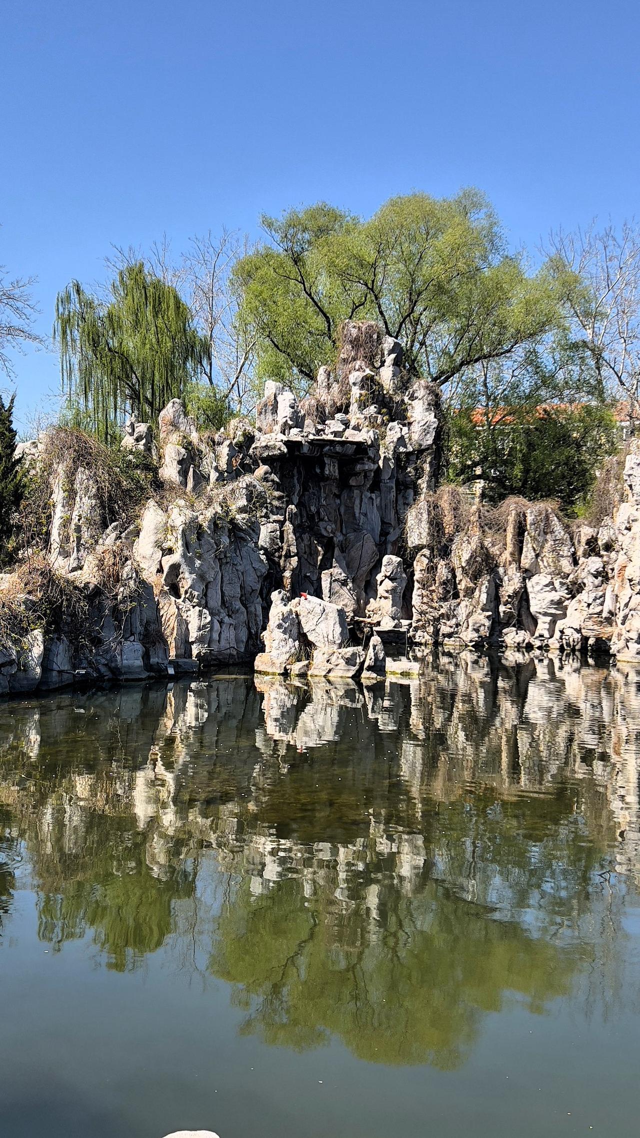 分享一张最近随手拍的照片