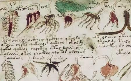 1912年，意大利商人伏尼契收购一家旧书店时，发现一本“奇怪的手稿”，一共260