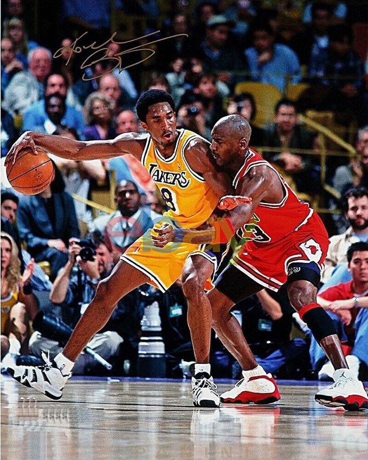 乔丹&科比。 ​​​