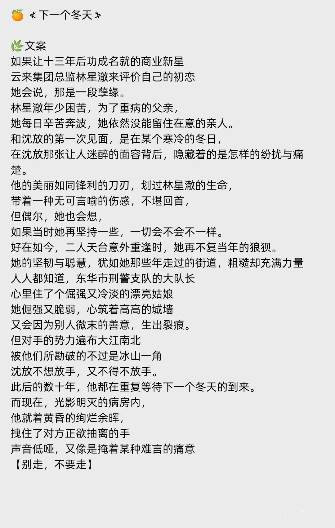🎈刑警队长x商界女强人 追妻火葬场