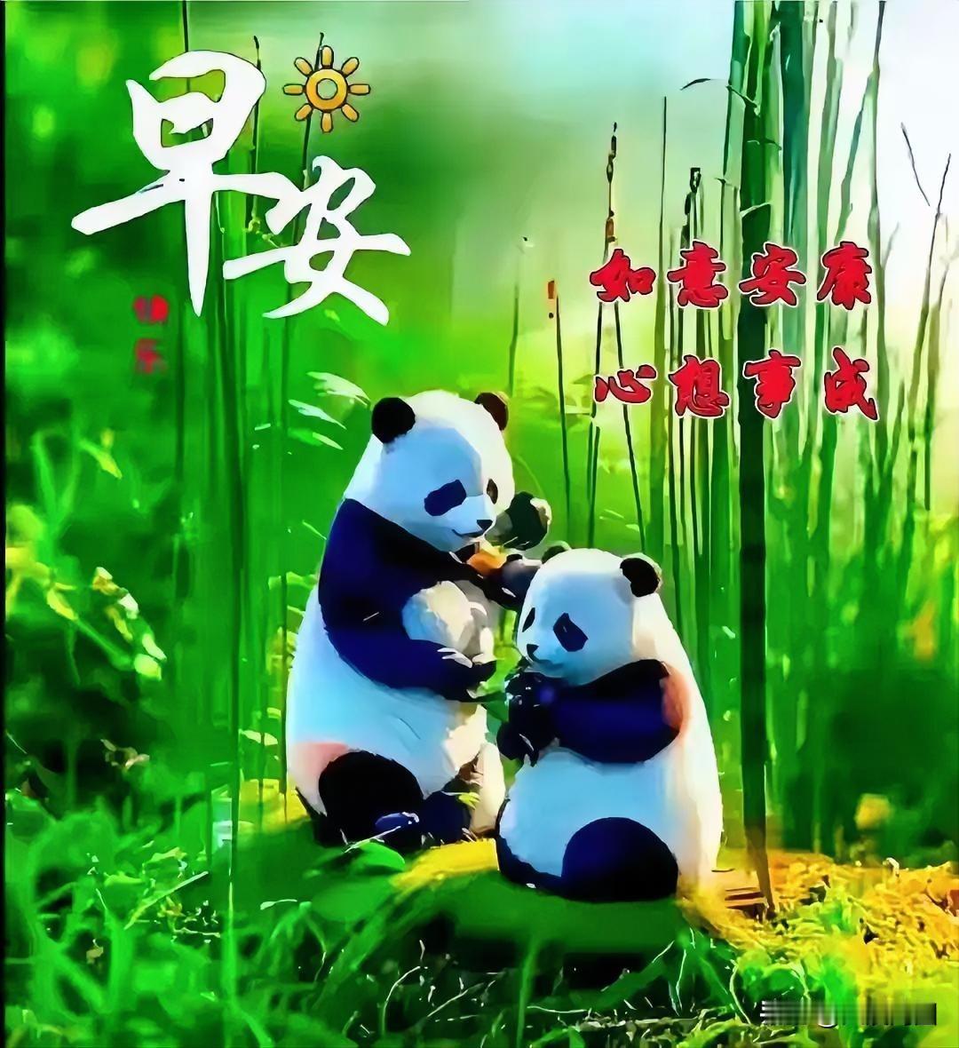 竹林清幽处，熊猫自逍遥。熊猫观赏地 四川熊猫旅游 熊猫休息区 熊猫生态区