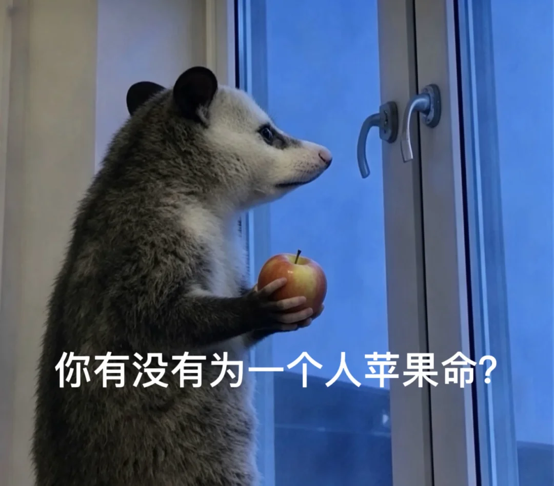 howto｜食物谐音梗（第三弹）