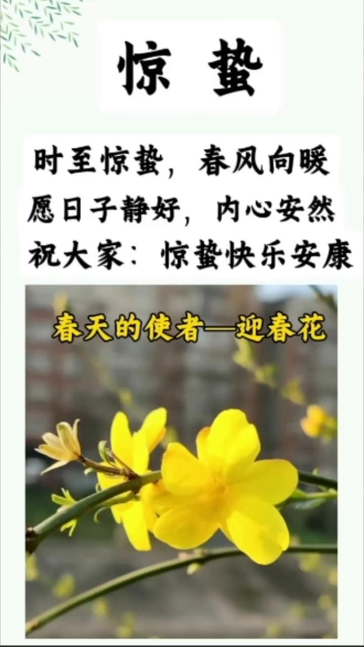 惊蛰。
时至惊蛰，春风向暖。愿日子静好，内心安然。祝大家：惊蛰快乐安康！春天的使
