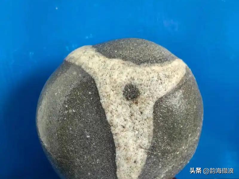 明朝传奇故事
明朝时期，有个读书人一天读完书觉得挺累的，就想到江边散散心。看着滚