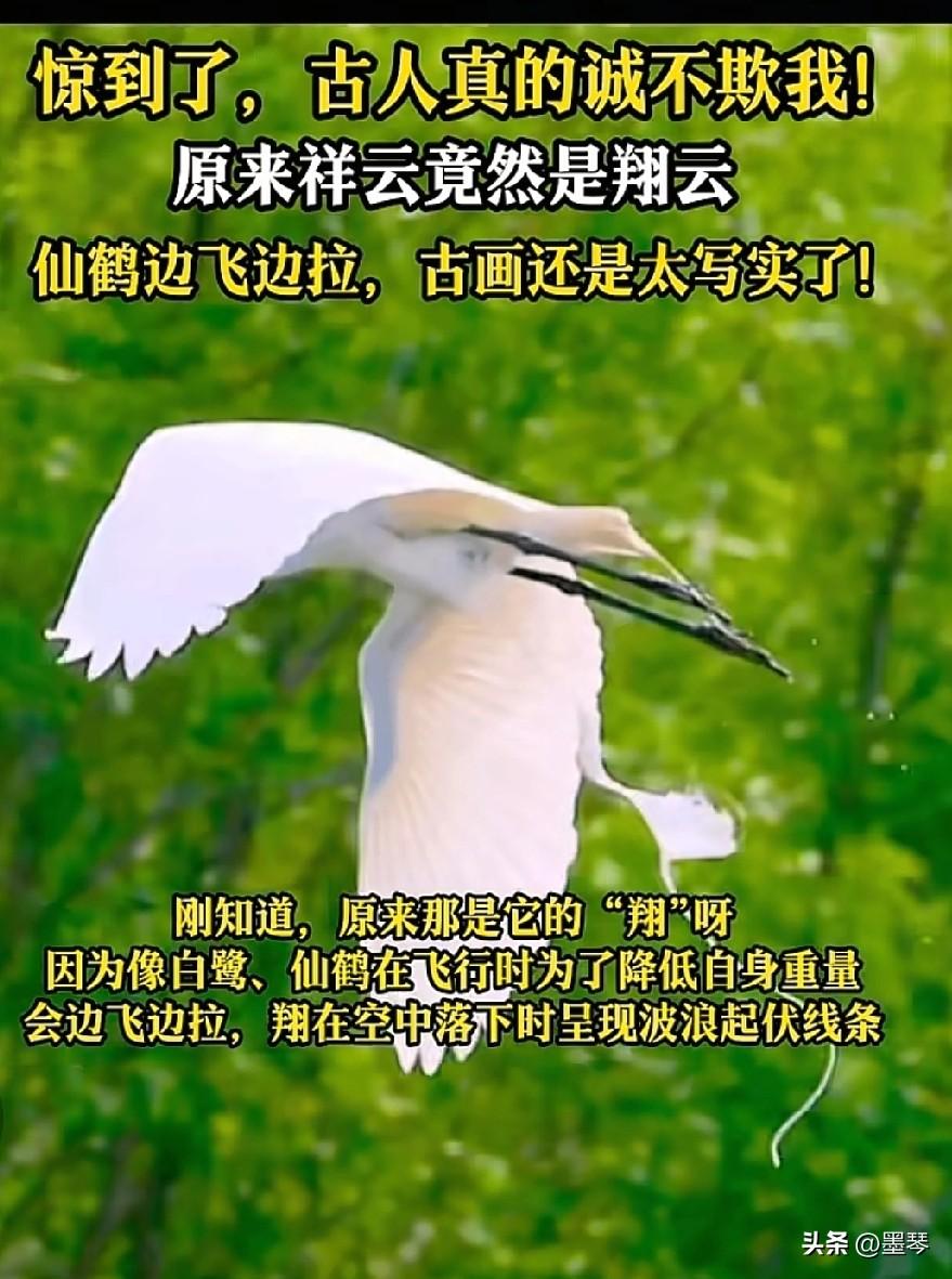 原来古人就会玩谐音梗啊，这一刻真的具象化了！[呲牙]
 

刷到一只仙鹤飞在空中