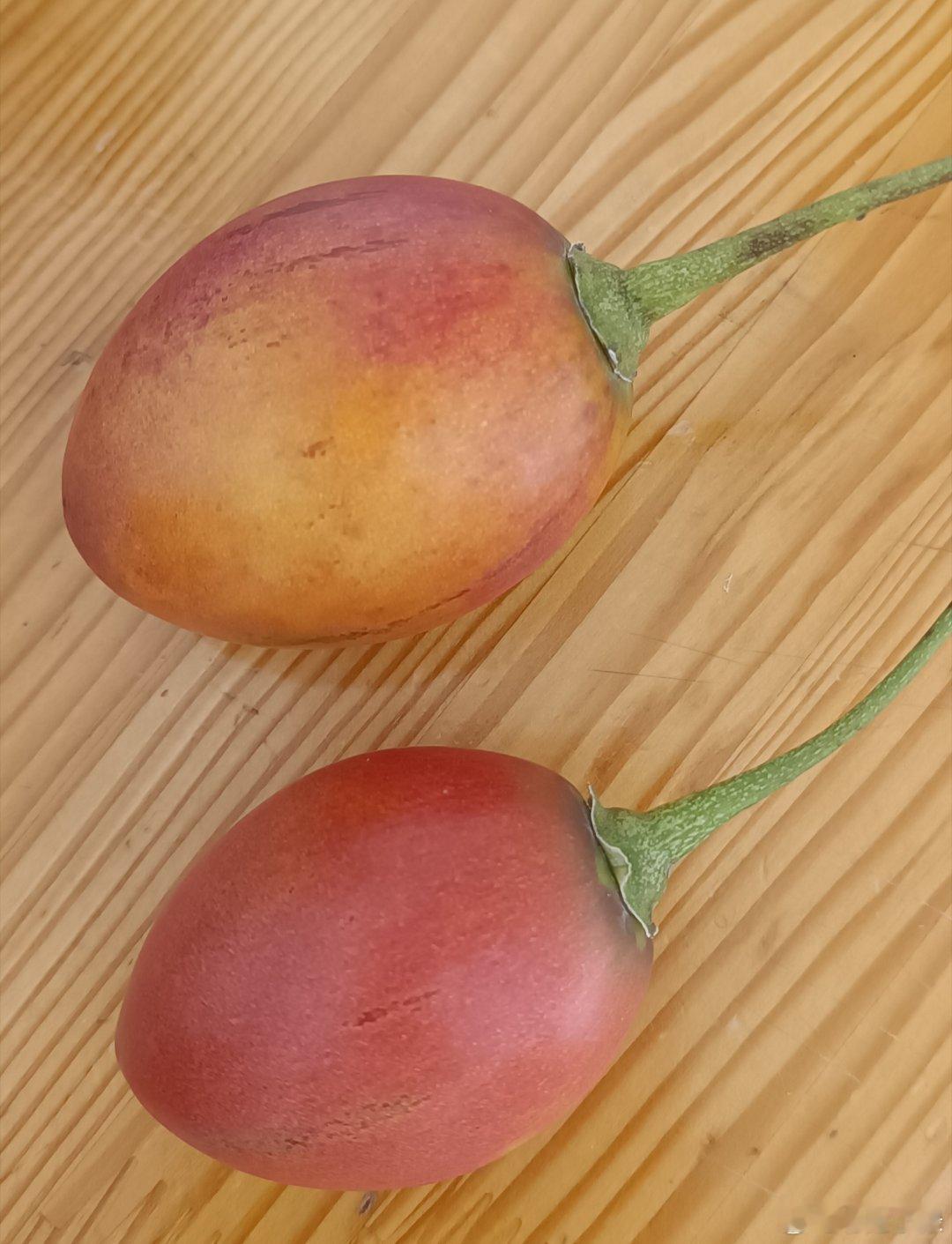 买到了树番茄，跟鸡蛋差不多大。剥开果肉是黄色的，很浓郁的酸味，但不是酸橘子，酸李