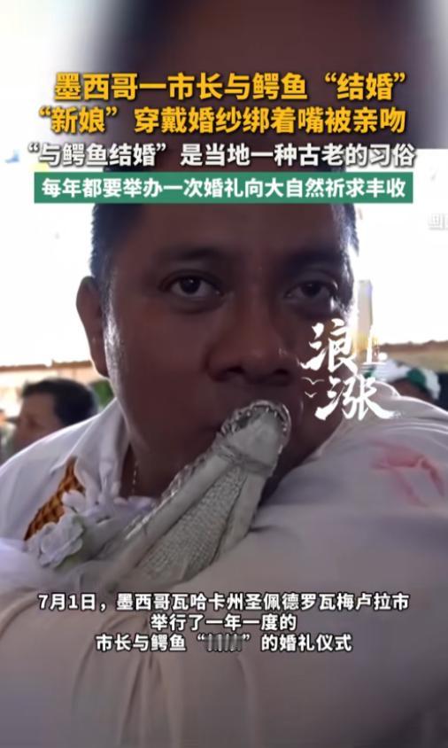 “结婚妻子是鳄鱼？”当地时间7月1日，墨西哥，一名市长在大家的见证下结婚了，新娘