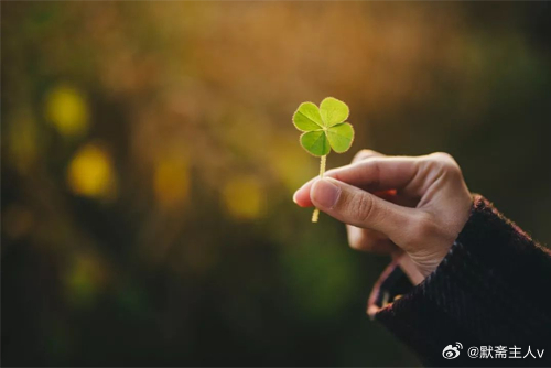 释怀·默斋主人原创自由诗潮落之后，细沙铭记每一道浪痕的轨迹。暮色骤然清朗的刹那，