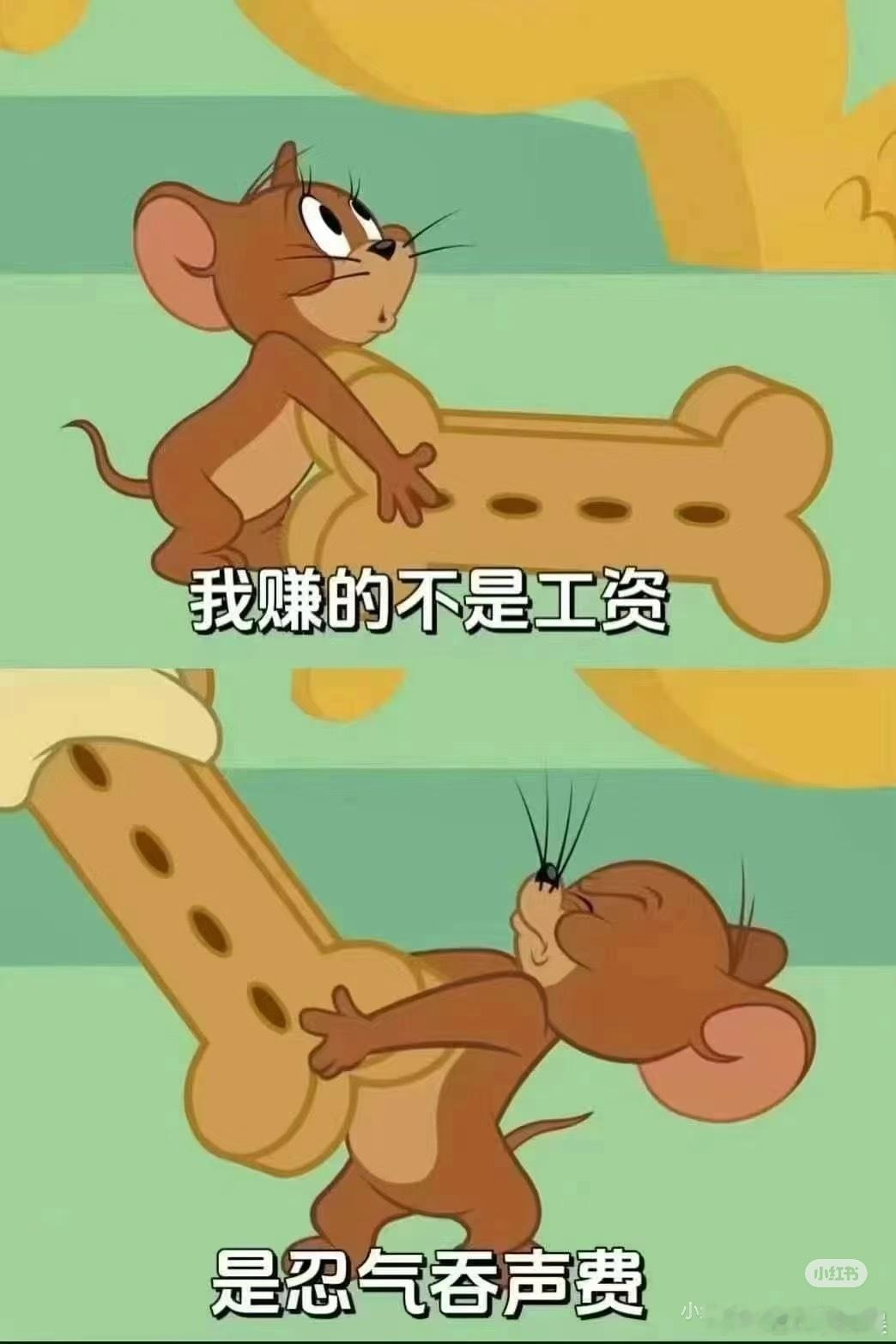 一天的搬砖又开始了，从上午9:00到中午12:30，休息了没一会2点又将将开始搬