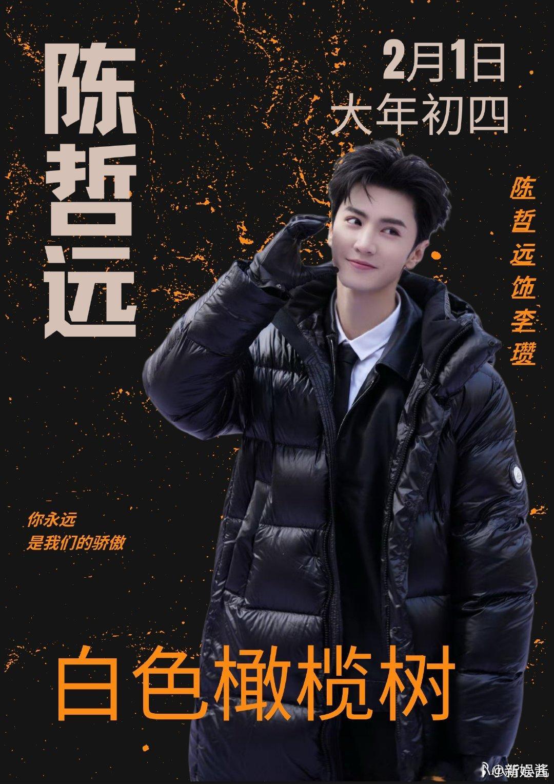 DeepSeek知道陈哲远为李瓒健身  白色橄榄树  DeepSeek深挖内幕：