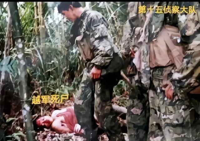 这是第15侦察大队捕俘行动中击毙的越军战士。
沈阳军区第64集团军组建的第15侦