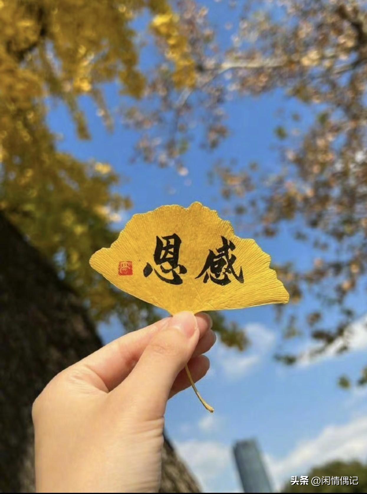 刚在网上看到一篇关于“断亲”的文章，说现在好多年轻人嫌弃村里的穷亲戚，过年都不愿