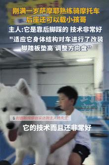 这是成精了？9月10日江西鹰潭，一男子发现家里养的狗，对玩具摩托很感兴趣，于是突