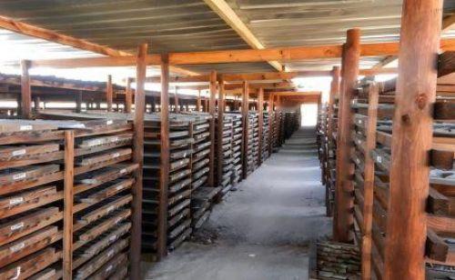 非洲大陆的关键矿产：随着铜价上涨，科瑞克斯铜业（ Kory Copper） 将于