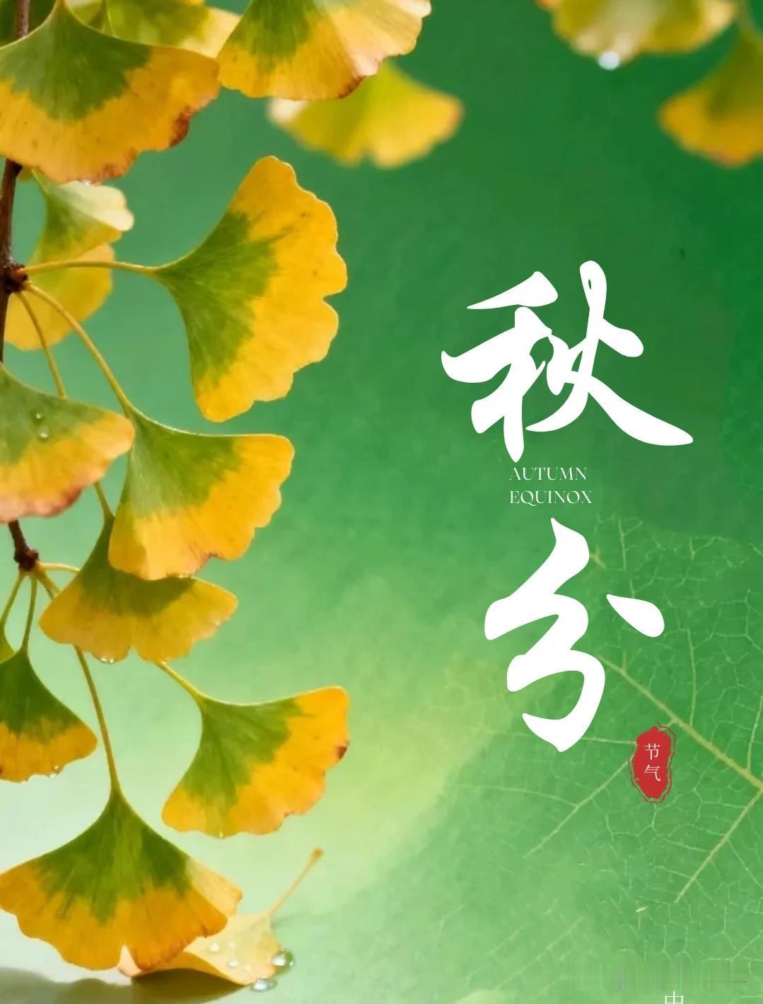 不是迷信！
明日秋分
记得：1要穿，2不空，做3样，别大意了

1要穿。

别贪