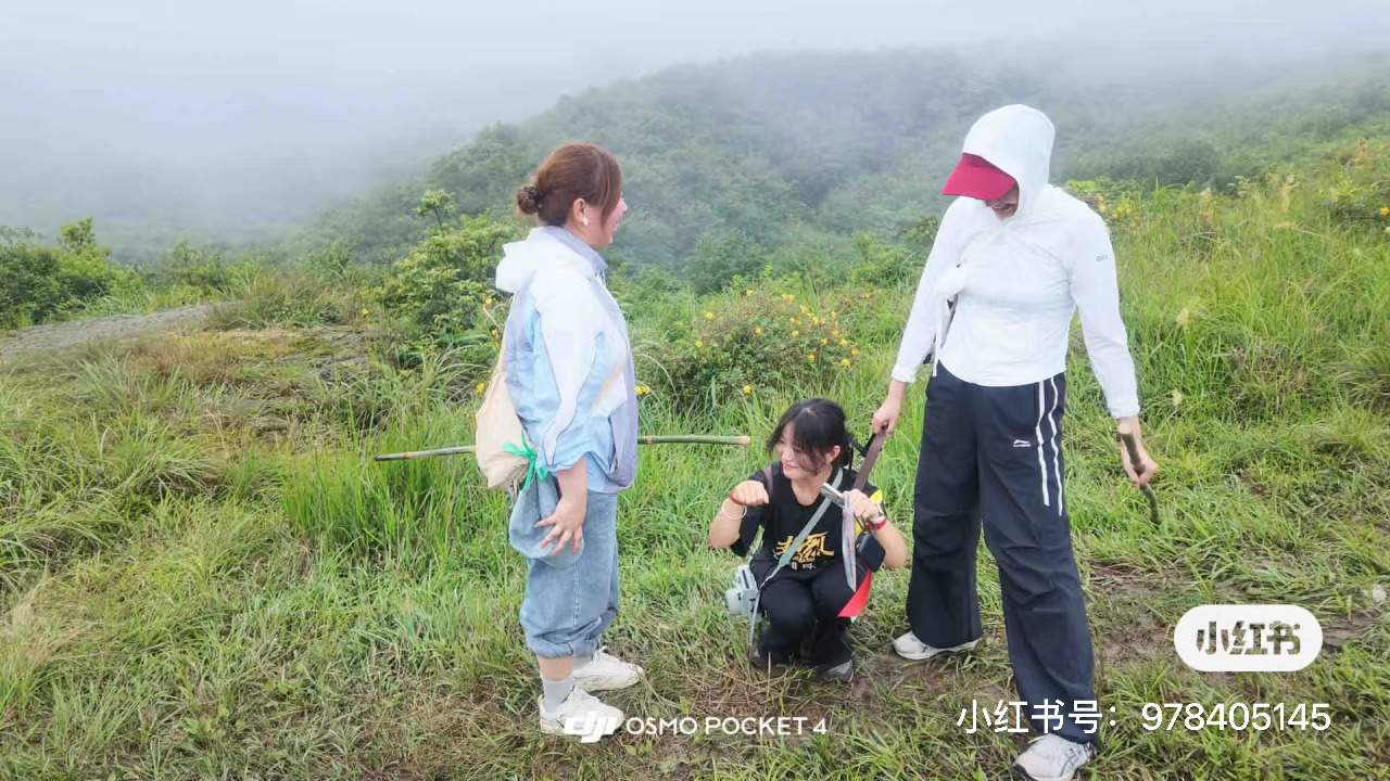哈哈哈哈哈哈哈哈小苹果是怎么个事 