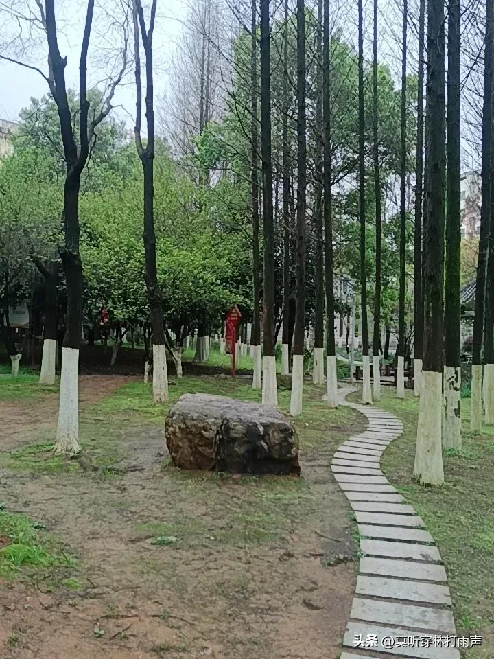 明天股市会下跌吗？

周末这外围消息可把股民们吓得不轻，都在担心明天股市会不会大