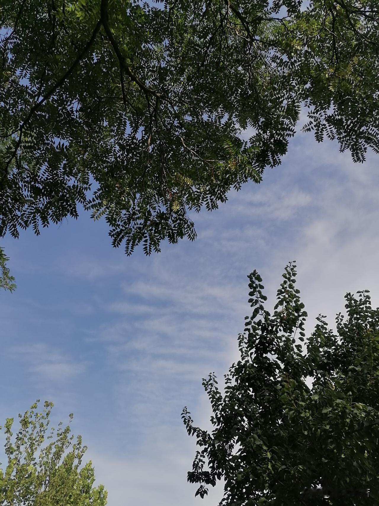 看天空，乌云已就绪，就差天公一道指令了，可不知道这雨是到下班再来，还是回家再来。