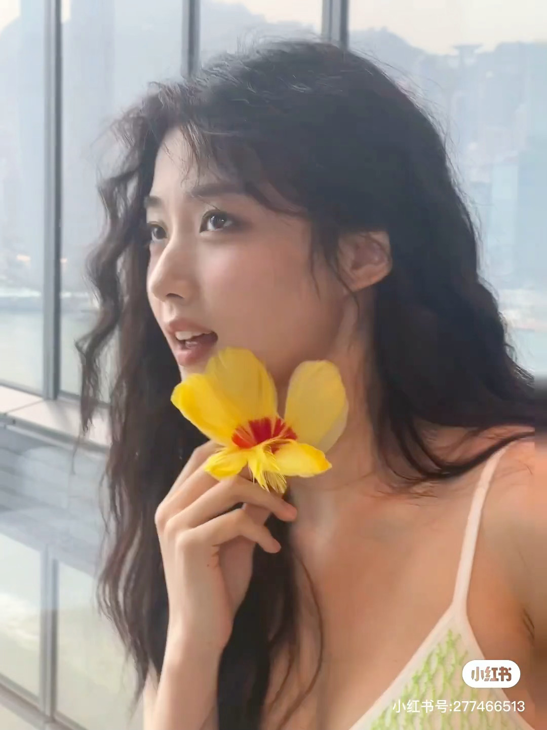卢昱晓  🌷卢昱晓五福临门🌷卢昱晓康宁我喜欢你，如鲸向海，鸟投林