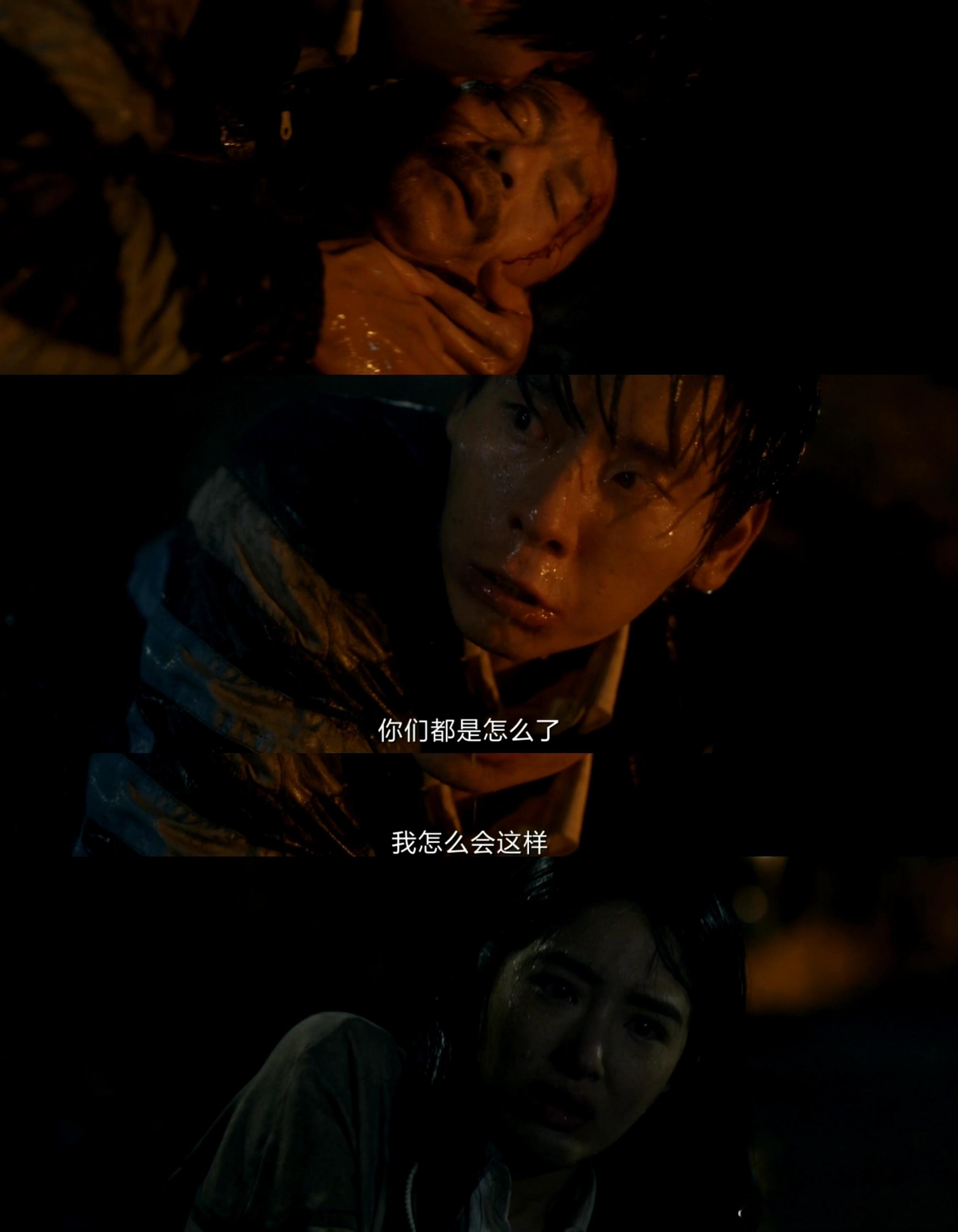 风中的火焰  在追剧的过程里面嗑到了刘白梅苇这一对很不一样的cp，两人爱的亖去活