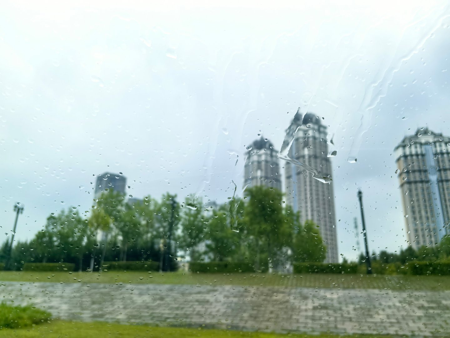 虽然天气预报有雨，但是我们决定还是赌一把，出去露营。您猜怎么着？赌输了热点观点