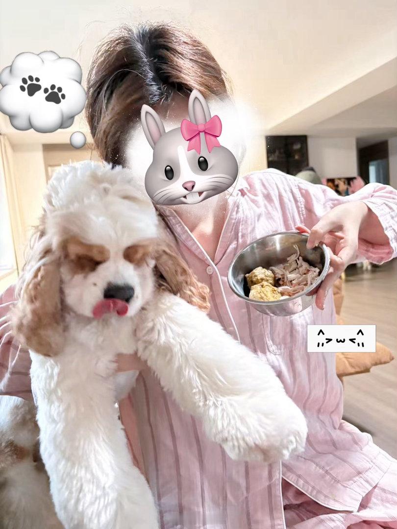 提前㊗️大家端午节快乐啊啊啊，翠妹放假了，给比比做的狗饭河野華