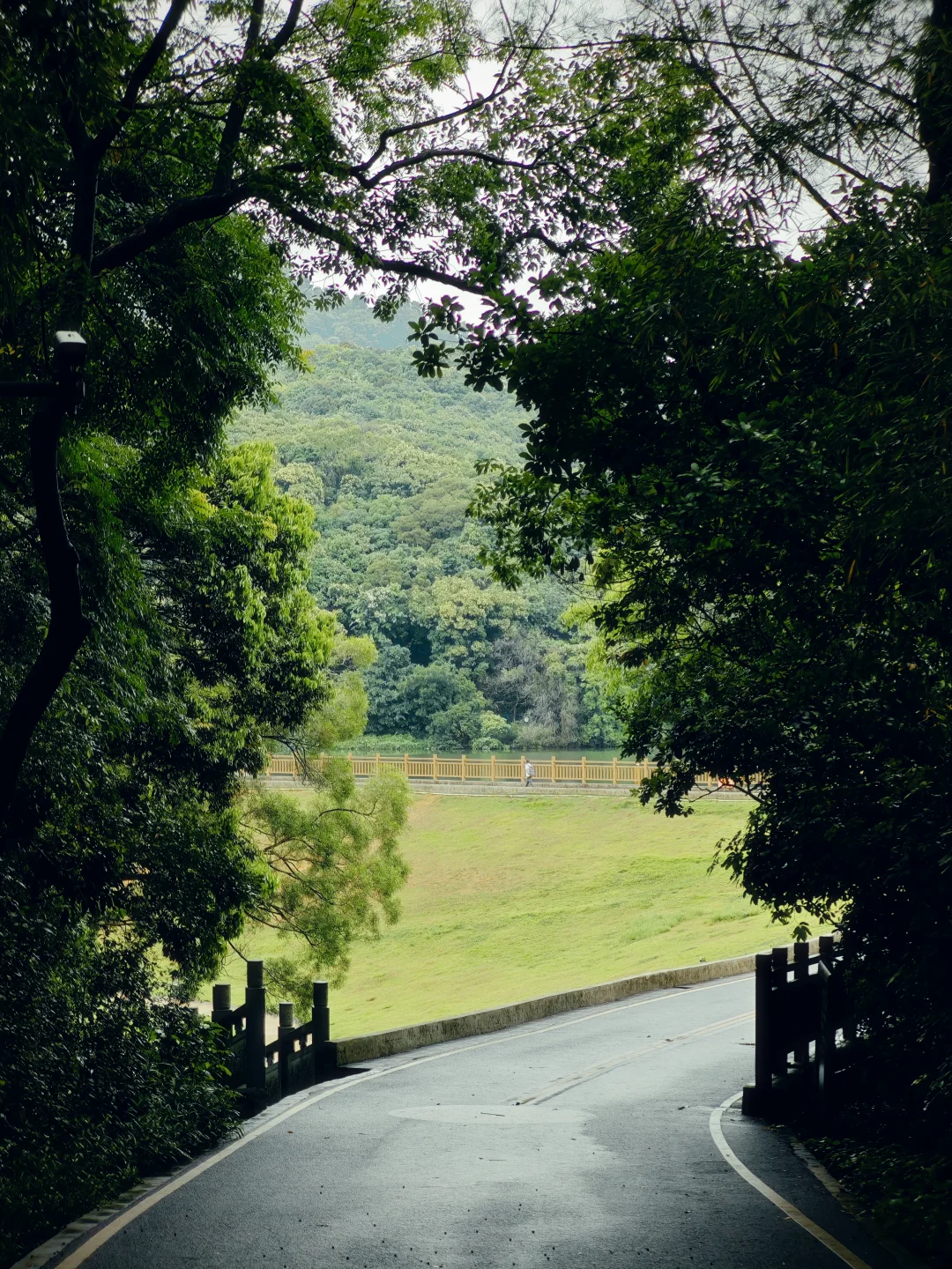 广州｜黄婆洞水库｜镜湖映翠色，雨后山野闲