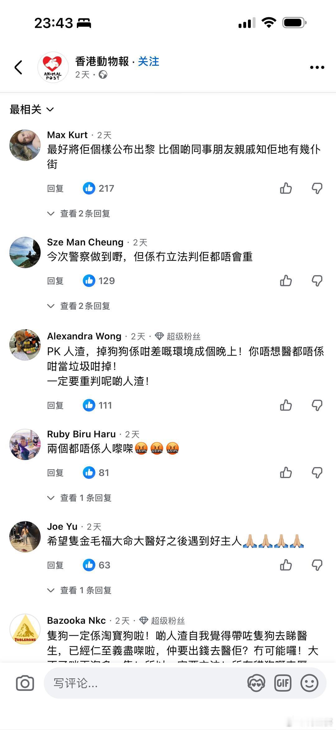 香港病重幼犬被遗弃垃圾桶后续——《动物专讯》本报日前报道旺角黑布街发生一起极其残